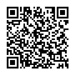 这事做为从来没有靠近过鸡圈的龙战是不知道的二维码生成