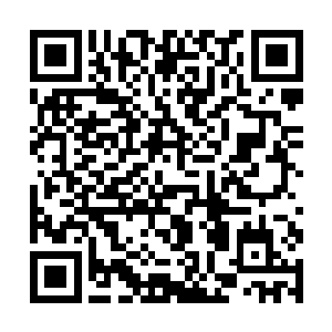 这事在当初那一艘大型飞舟上的筑基修士都是知道的二维码生成