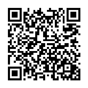 这事情已经不是我们可以参与的了这是头儿的原话二维码生成