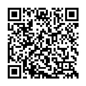 这事情早就被鲁新萍和贝依两人不止说了一次了二维码生成