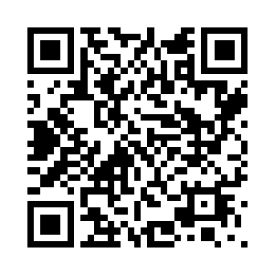 这二十多天在训练和比赛中的相处二维码生成