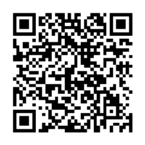 这二十天之内他们需要审批的各种手续我都要替他们跑下来二维码生成
