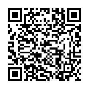 这二级天仙很想勾引一下营地里出名神秘和强大的散修之怒二维码生成