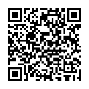 这二货从将孙子轩砸晕开始就一直在孙子轩的身上蹦二维码生成