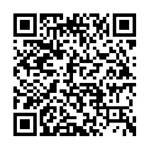 这二门现在夏天也已经击败了所有代表性的人物二维码生成