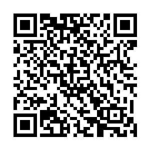 这云梦之境的四位始祖恐怕已经是超过了两百万载的寿命二维码生成