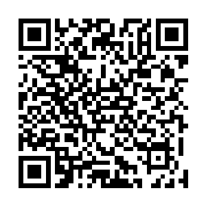这五千年的灵药你能不能炼制出这种瞬间恢复法力的灵丹二维码生成