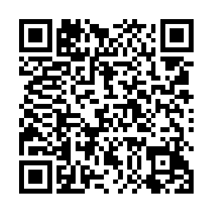 这五枚空间戒指内都装了一千万至三千万不等的水晶币二维码生成