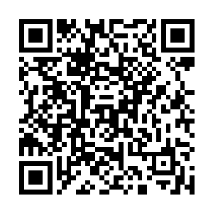 这五百万可是当初孙国伟给他用来收买德康家川的专款二维码生成