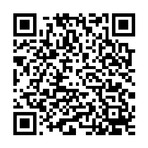 这五色光手的主人在实力和修为上只怕早已远远超过了楚旬啊二维码生成