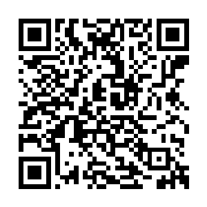 这些下人之中有没有混入其他世家派过来的奸细二维码生成