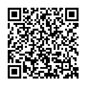 这些不都是应该玩家在刚刚进入主神空间的时候二维码生成