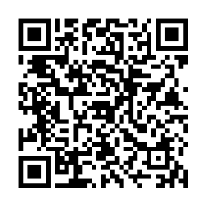 这些专业的体育报纸就这么被放在了最好的位置上展示二维码生成