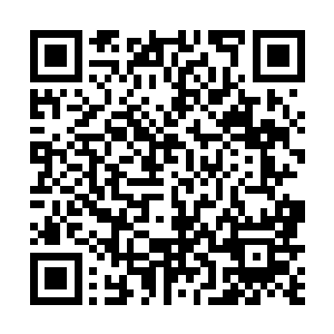 这些东西加起来就算神兵城也要数万年才能积攒得到吧二维码生成
