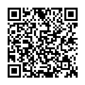 这些东西可是我将所有的毒物提炼了一遍得到的二维码生成