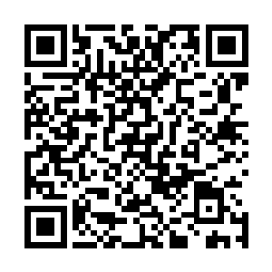 这些东西对林兄弟你这么优秀的炼丹师来说肯定是沧海一粟二维码生成
