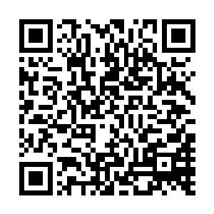 这些东西对现在的龙傲天来说顶多就是一些顶级的材料而已二维码生成