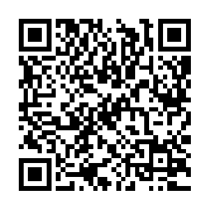 这些东西无一不是仙界乃至神界都无比稀有的东西二维码生成