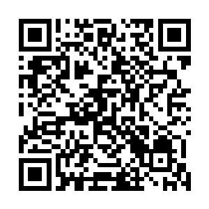 这些东西是为了以防有人什么食物过敏之类反应而备用的二维码生成