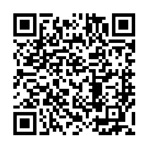 这些东西是龙傲天从他得到的那个传承之中整理出来的东西二维码生成