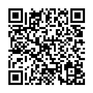 这些东西虽然说品级不如刚才的时候自己得到的二维码生成