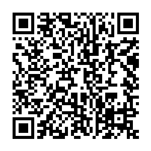 这些东西跟杨开之前在星光通道内所吸收的星光看起来竟有些相似二维码生成