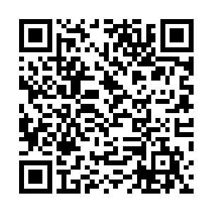 这些个心高气傲的明教高层怎么可能会真正听从他的命令二维码生成