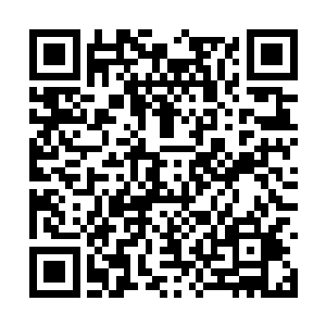 这些丹妖的本体已经都是下品后期巅峰的先天仙丹二维码生成