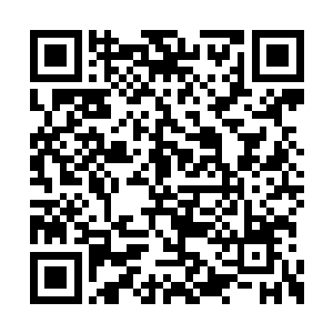 这些丹药符纸纷纷被还原成天地间最本原的物质二维码生成