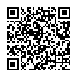 这些乐队以前都是荣耀至死乐队吉他盒子上面的海报二维码生成