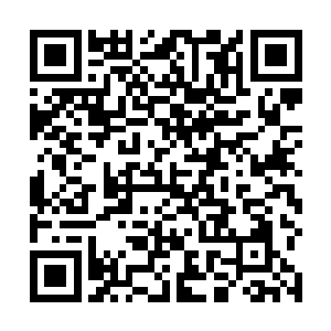 这些乞丐和孙子轩曾经见过的乞丐也是有着很大的不同二维码生成