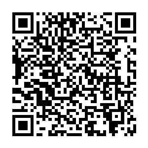 这些也都是吴岩结合周山柱告知的一些跟洞天之宝有关的信息推测出来的二维码生成