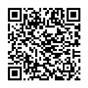 这些事情为什么乔远帆都不愿意对自己的儿子雷欢喜说呢二维码生成