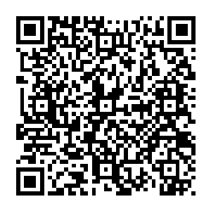 这些云魔果还可以洗涤这些魔界弟子身上因为吸收了别人的魔气而气息不稳的问题二维码生成