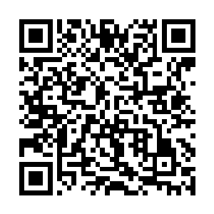 这些亮光应该是通过吸收死地中的死之力在壮大自己二维码生成