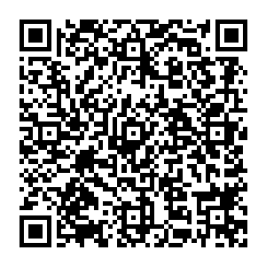 这些人一到了场地中就像是变戏法似的各自从身上掏出了一个小测试器对着鱼尾切开的鱼肉就试了起来二维码生成