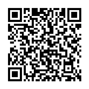 这些人之中甚至还有几个是林锐所熟悉的老面孔二维码生成