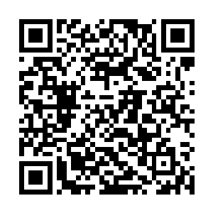 这些人几乎都是站在了地下世界最顶尖的大人物了……二维码生成
