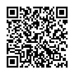 这些人即使去了上古战场一般也就会被安排一些轻松的事情二维码生成