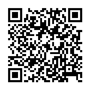 这些人只怕早就被韩风的那变态一脚给震慑住了二维码生成