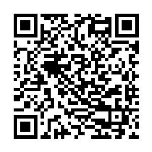 这些人可能真的已经进入到了一个死亡的陷阱之中啊二维码生成