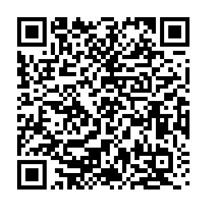 这些人和三十六洞天福地的那两位地仙一样都觉得秦宇会就此收手二维码生成