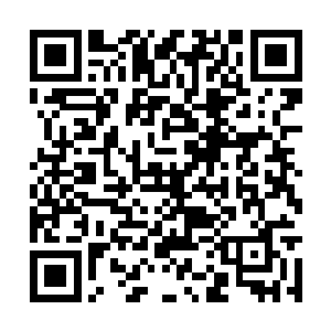 这些人和势力的气运都会转移一些到秦大师的身上二维码生成