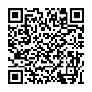 这些人在危难时刻都会成为他们西北军的替补了二维码生成