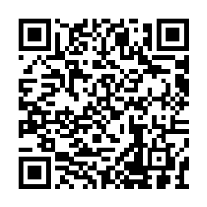 这些人就像是硬生生地被按进了墙壁里和地面里二维码生成