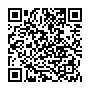 这些人就算像疯狗一样排着队从地元界中冲出来二维码生成