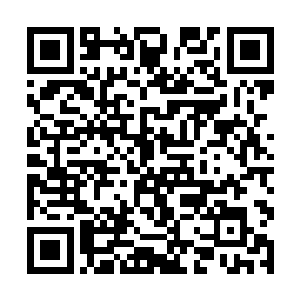 这些人正是当初跟随玉成子一起施展偷天换日大仙术二维码生成