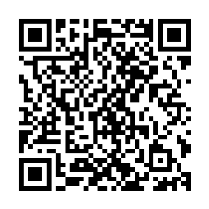 这些人正是跟随莫天几个人归顺玉虚阁的黑风山寨的先天高手二维码生成