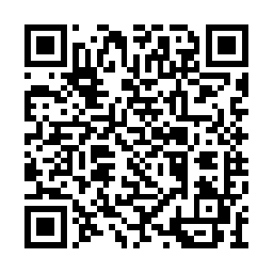 这些人的恐惧已经让他们彻底的丧失了抵抗能力二维码生成