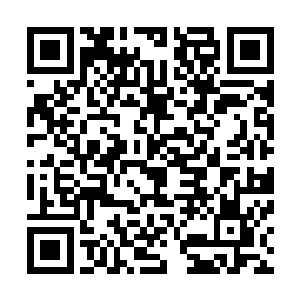 这些人的眼神从一开始的迷茫和惊恐再到布袋打开后的震惊二维码生成